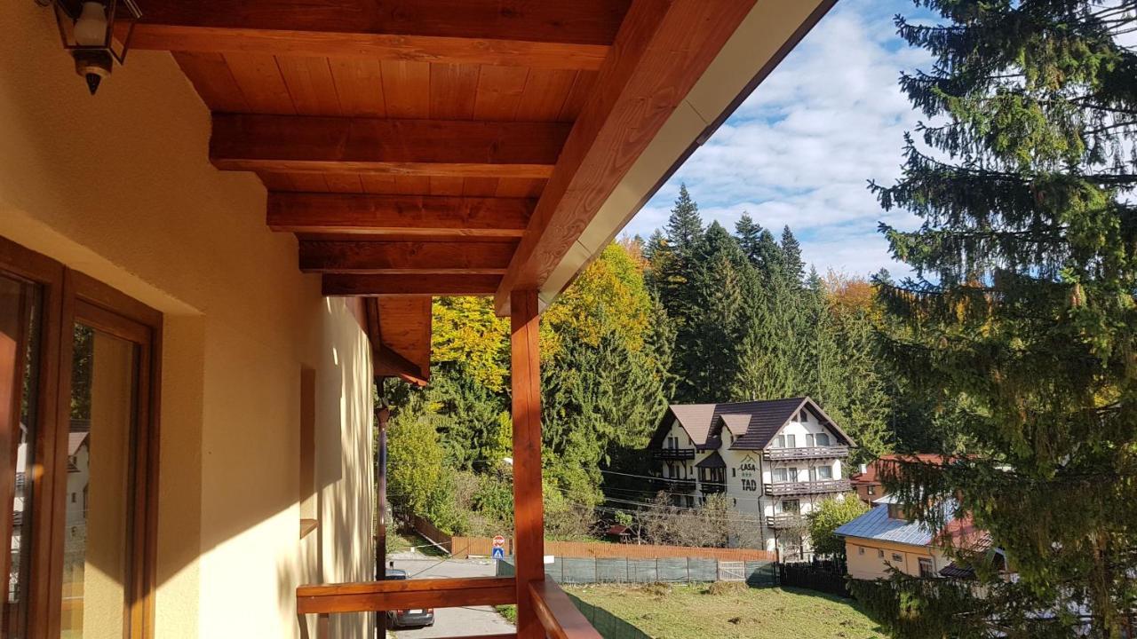 Apartament Lexannona Buşteni Eksteriør billede