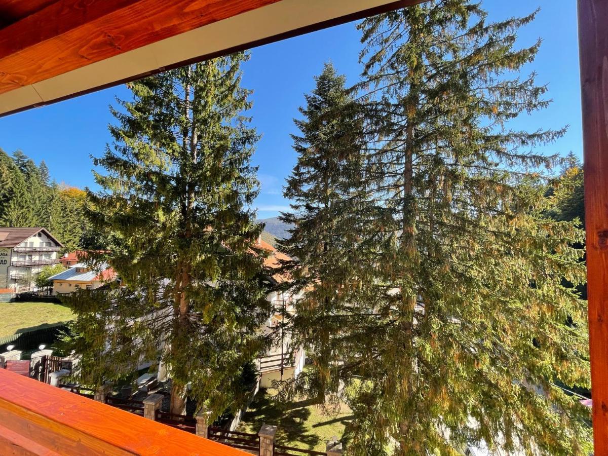 Apartament Lexannona Buşteni Eksteriør billede